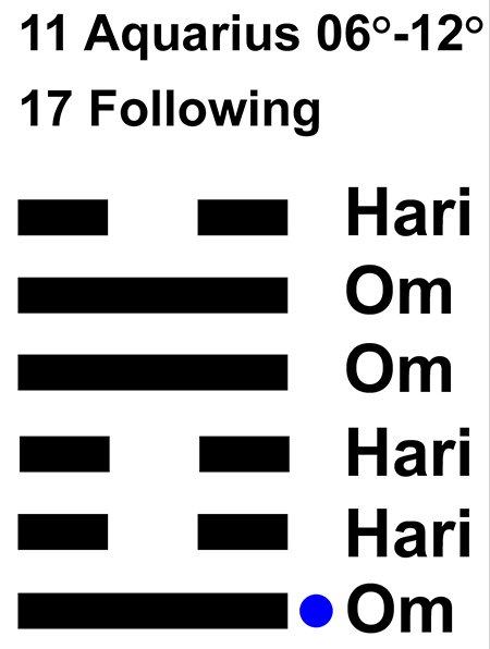 IC-chant 11AQ-02-Hx17 Following-L1